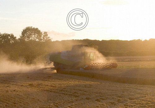 Combining Wheat 2 DM0044